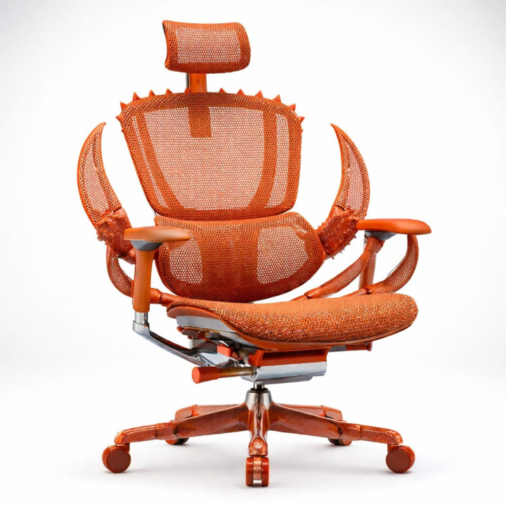 Office chair STYRTA ErgoCrab
